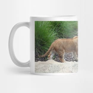 Lion Cub Mug